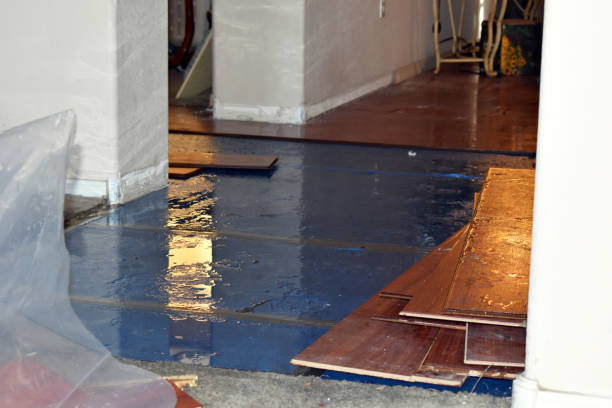 Professional Emergency Water Damage Restoration technician working in Wrightwood, CA